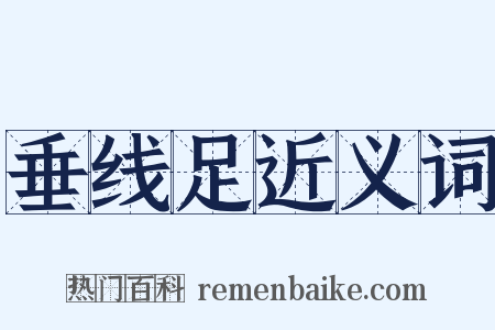 垂线足近义词是什么意思的图片